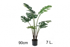 009 veštačka stabla filadenrona